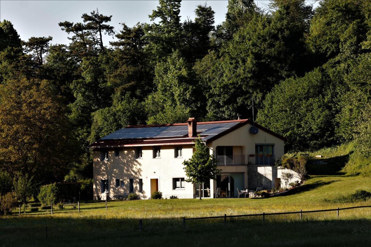 Guesthouse Idila Pod Nanosom Senozece Exterior foto