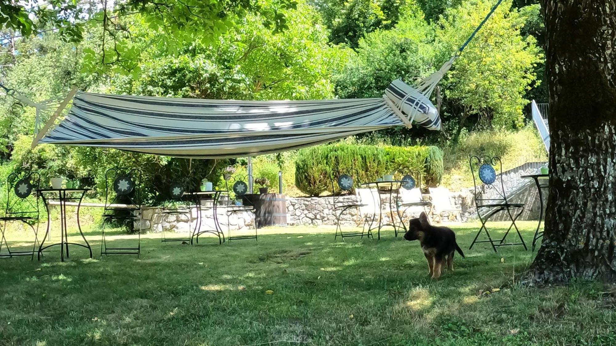 Guesthouse Idila Pod Nanosom Senozece Exterior foto